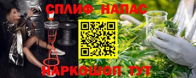 прущие грибы Аша
