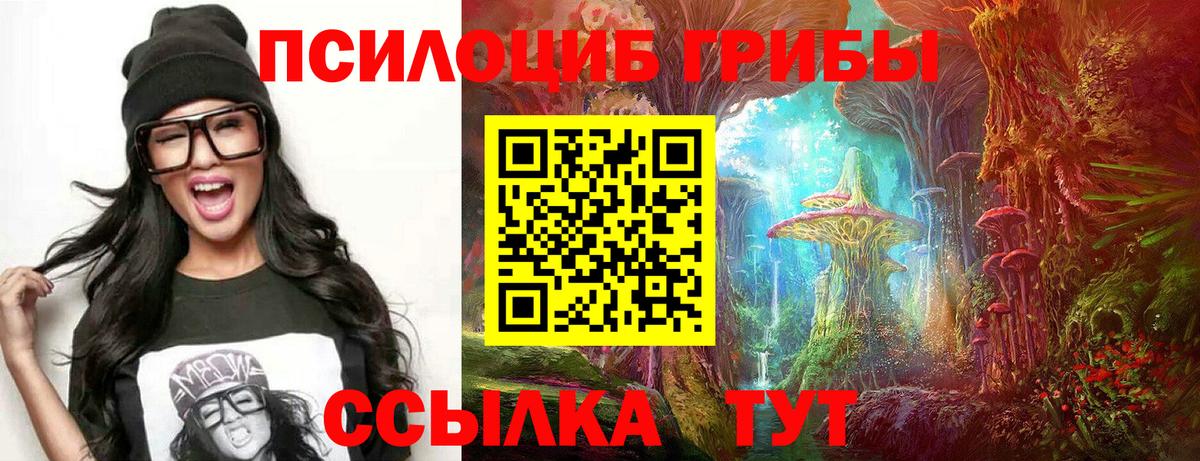 Прохладный  Псилоцибиновые грибы GOLDEN TEACHER  Галлюциногенные грибы MAGIC MUSHROOMS  Вход с VPN 