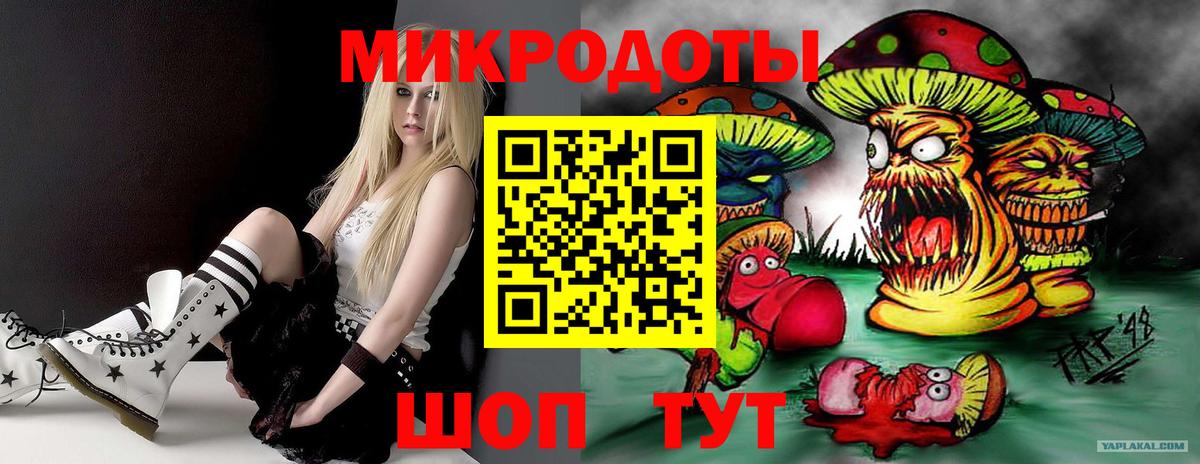 Псилоцибиновые грибы GOLDEN TEACHER Прохладный