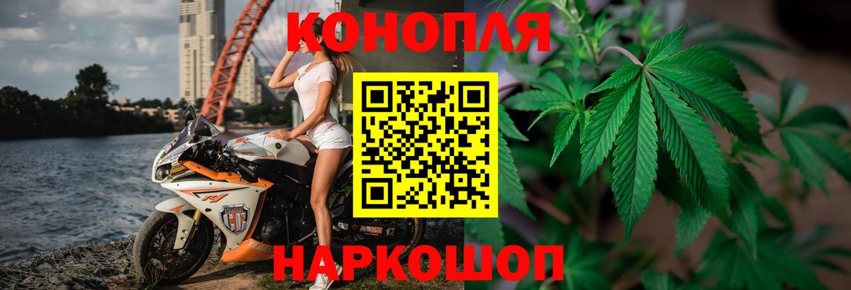 Марихуана OG Kush  Конопля сатива  Прохладный  Вход с VPN 